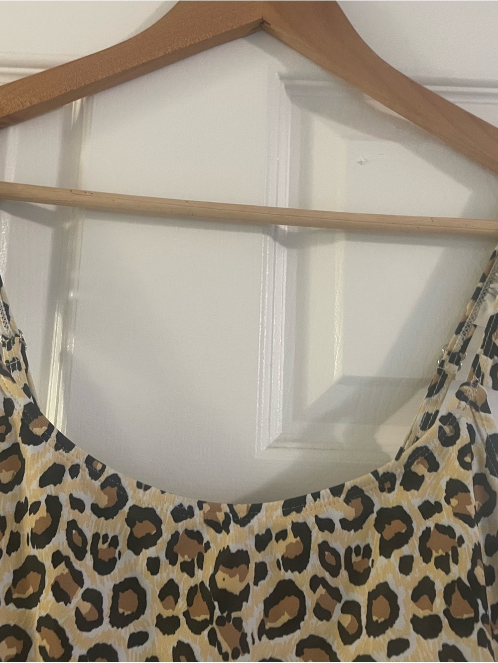 Leopard Print One-Piece Swimsuit - Picture 3 of 8